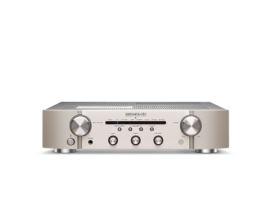PM6007 - Silver front view